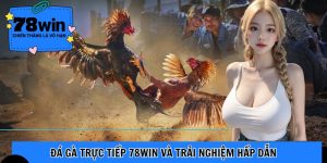đá gà trực tiếp 78win soccer